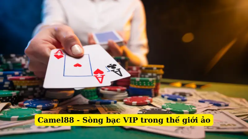 Camel88 - Sòng bạc VIP trong thế giới ảo